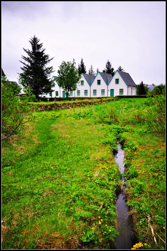 DSC_1724_1.jpg