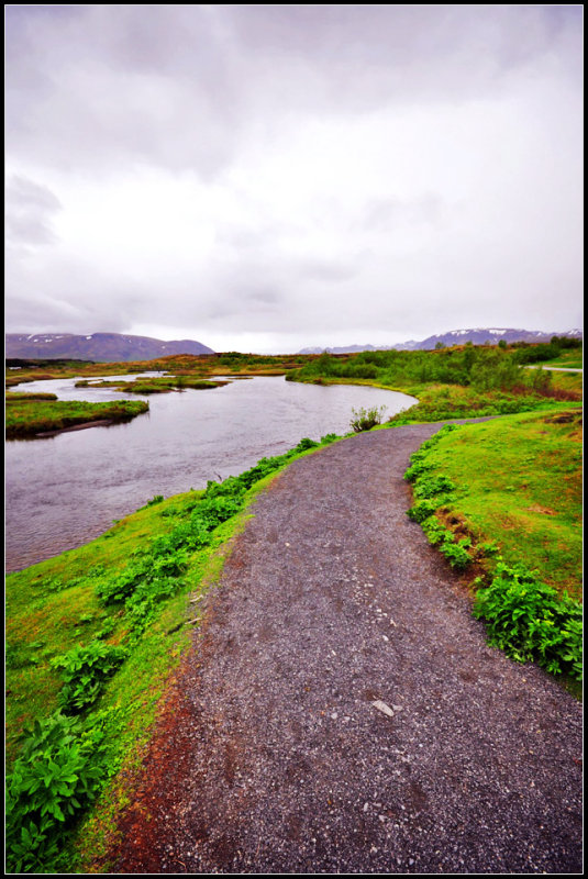 DSC_1731_1.jpg