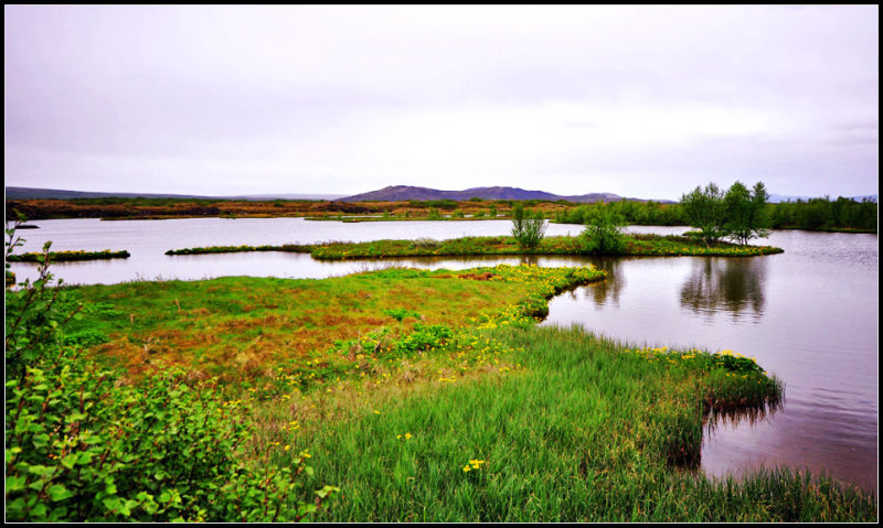 DSC_1762_1.jpg