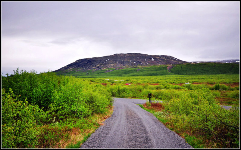 DSC_1790_1.jpg