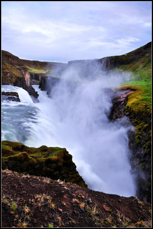 DSC_1917_1.jpg
