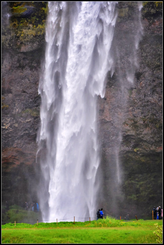 DSC_0252_1.jpg