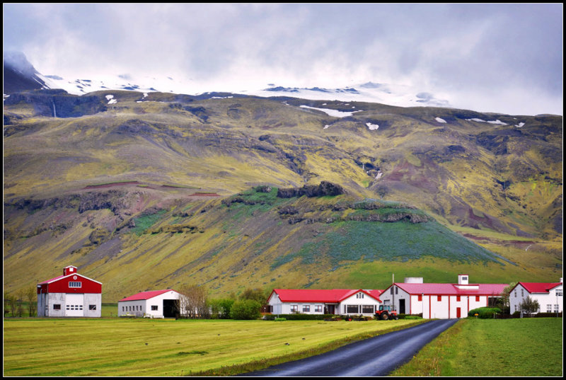 DSC_0303_1.jpg