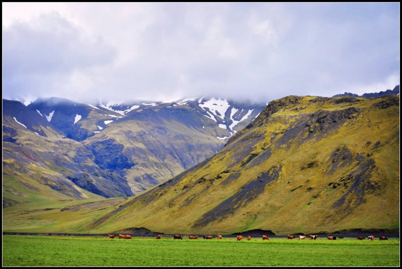 DSC_0304_1.jpg