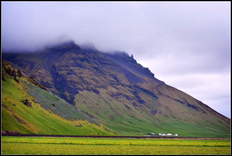 DSC_0307_1.jpg