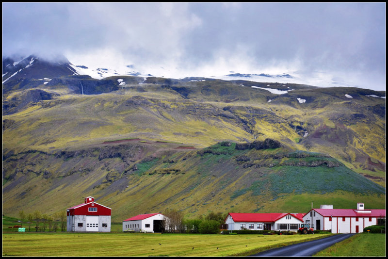 DSC_0311_1.jpg