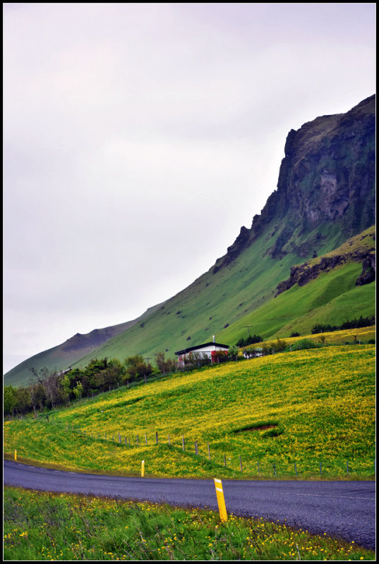 DSC_0402_1.jpg
