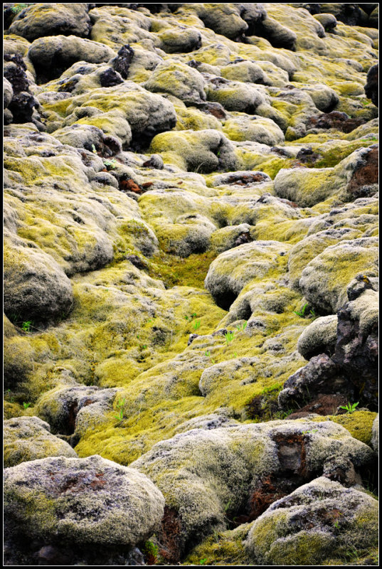 DSC_0494_1.jpg
