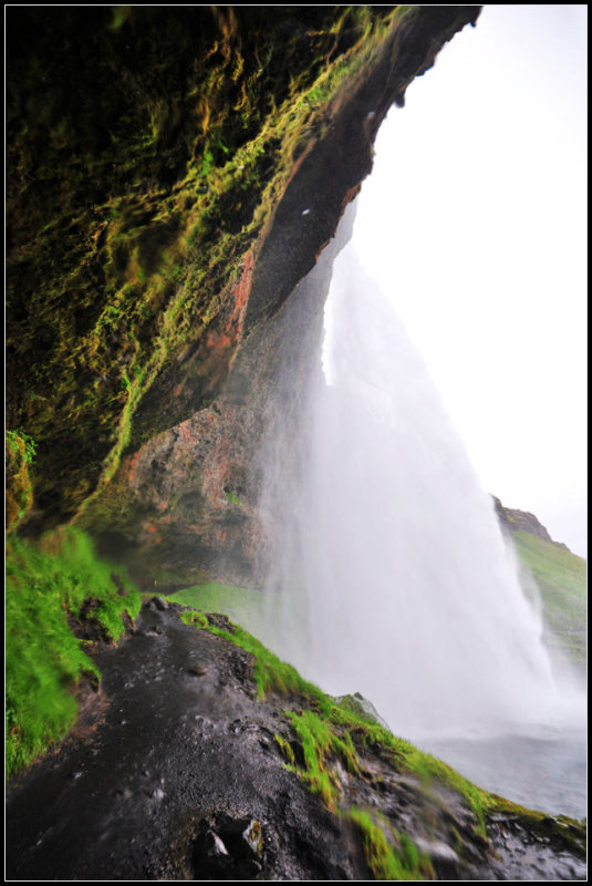 DSC_2047_1.jpg