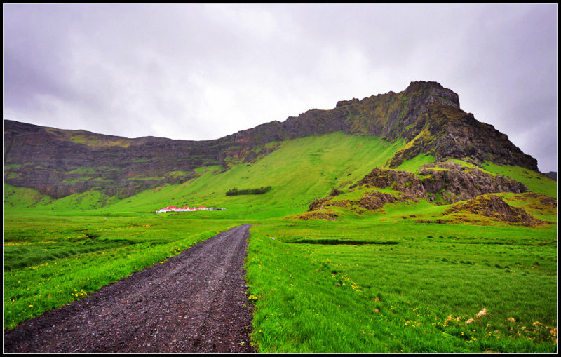 DSC_2078_1.jpg