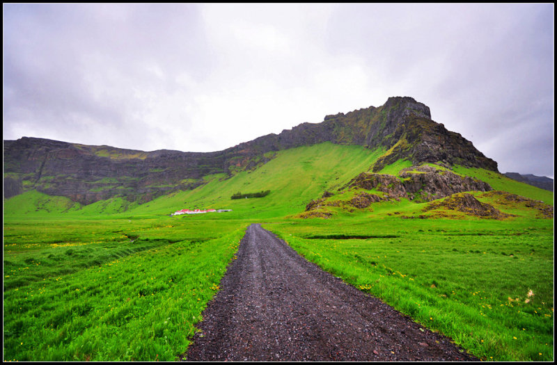 DSC_2081_1.jpg