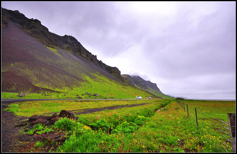 DSC_2093_1.jpg