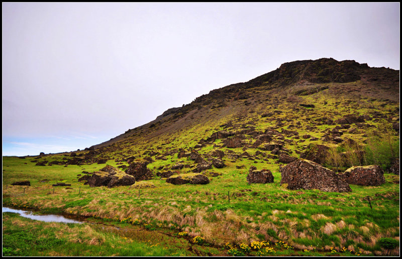 DSC_1954_1.jpg