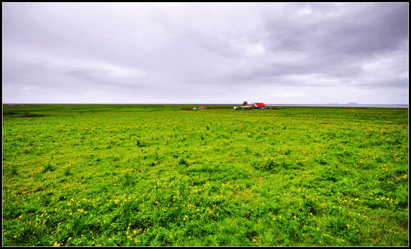 DSC_2104_1.jpg