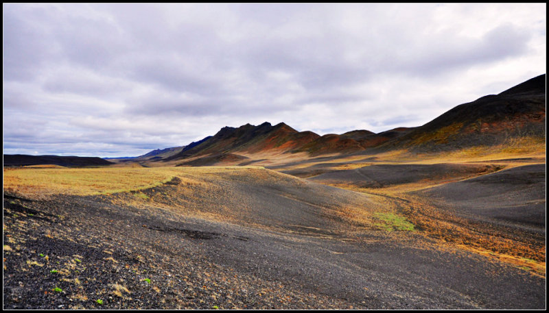 DSC_2858_1.jpg