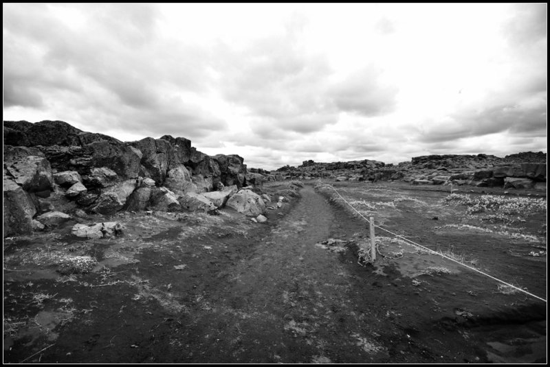 DSC_2909_1.jpg