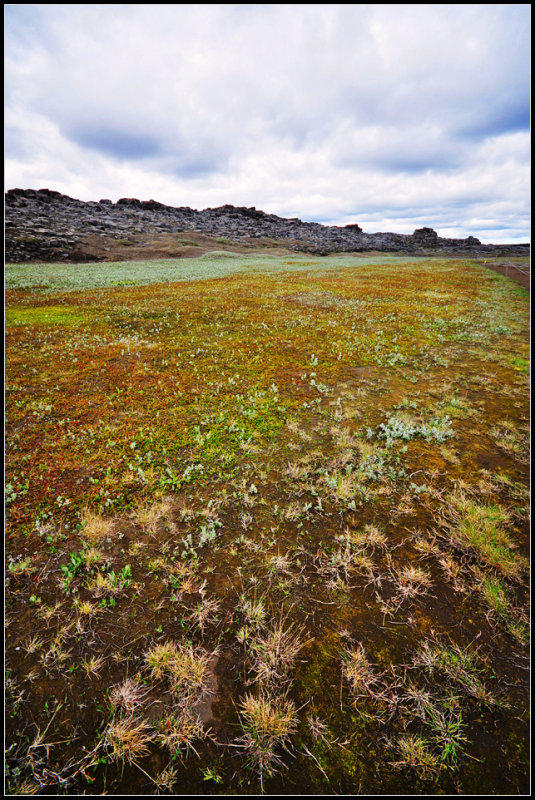 DSC_2940_1.jpg