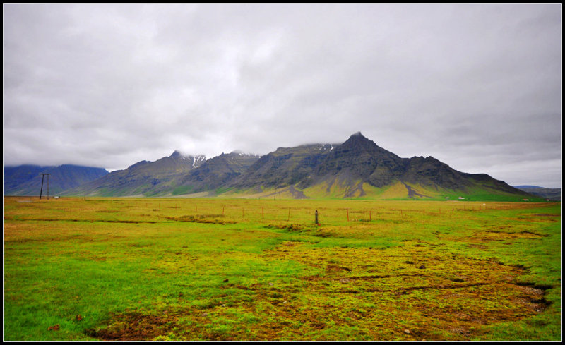 DSC_2664_1.jpg
