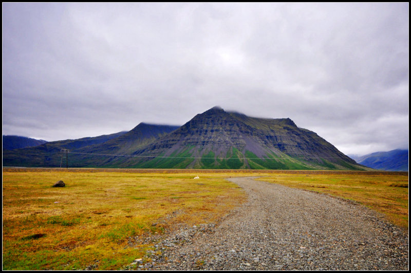 DSC_2667_1.jpg