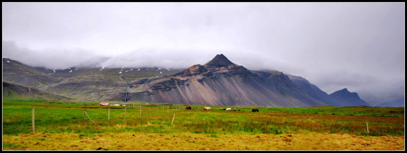 DSC_2679_1.jpg