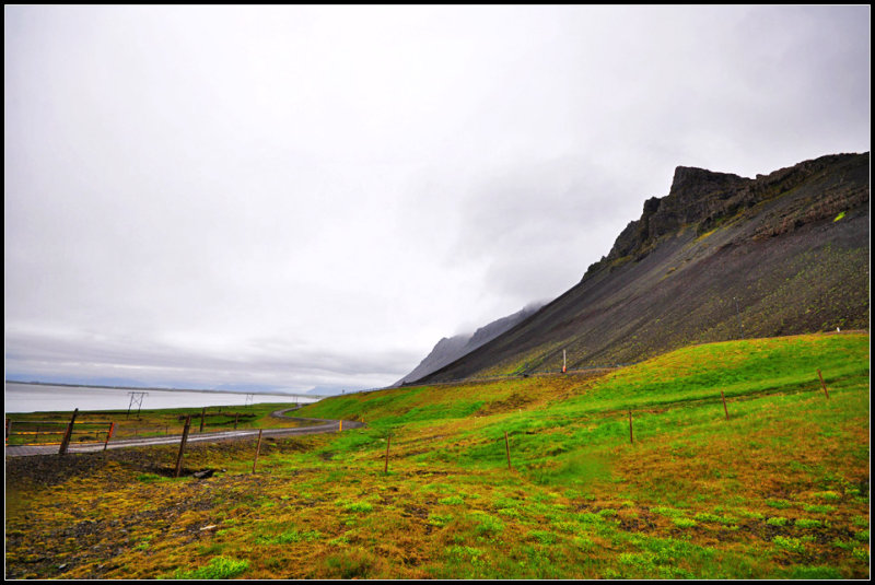 DSC_2699_1.jpg