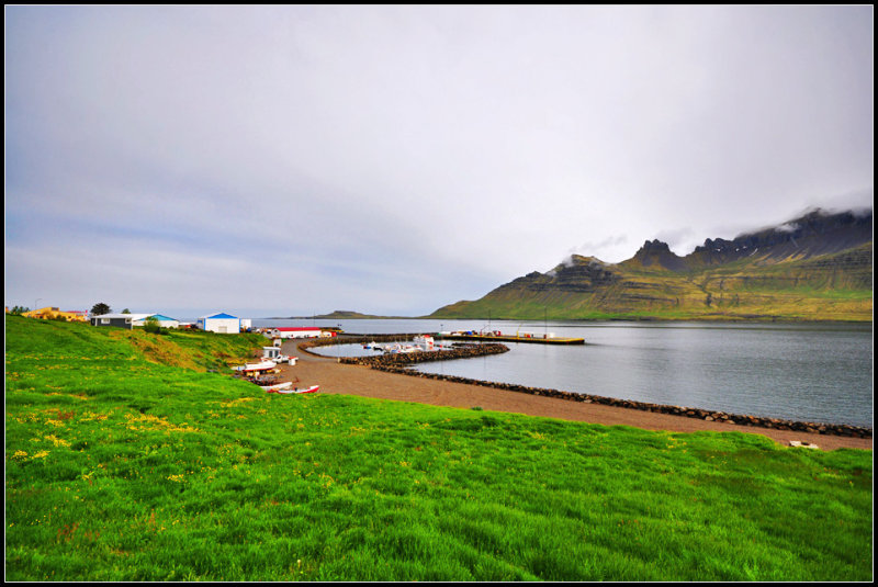 DSC_2774_1.jpg