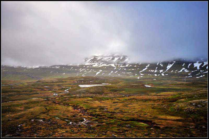 DSC_2818_1.jpg