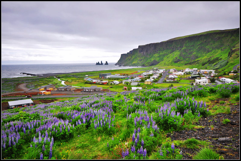 DSC_2295_2.jpg