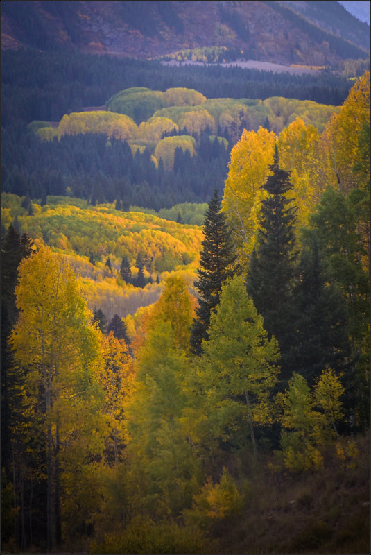 DSC_2259_1.jpg