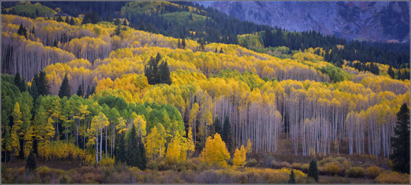 DSC_2262_1.jpg