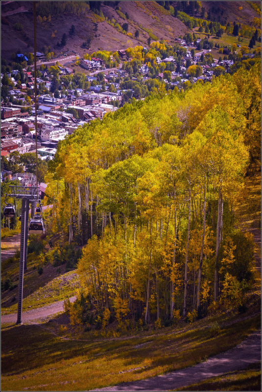 DSC_2008_1.jpg