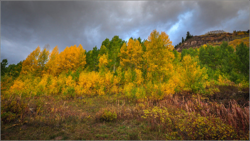 DSC_6736_1.jpg