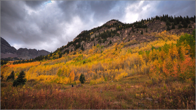 DSC_6740_1.jpg