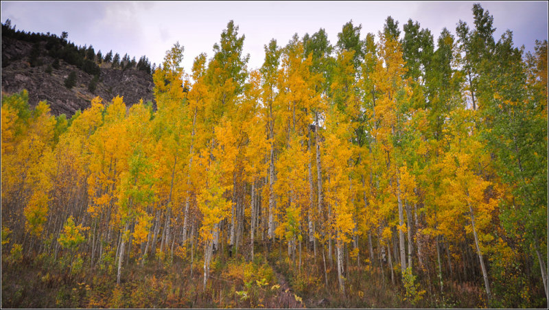 DSC_6751_1.jpg