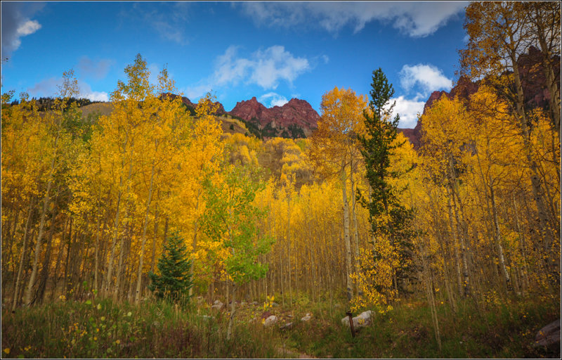 DSC_6788_1.jpg