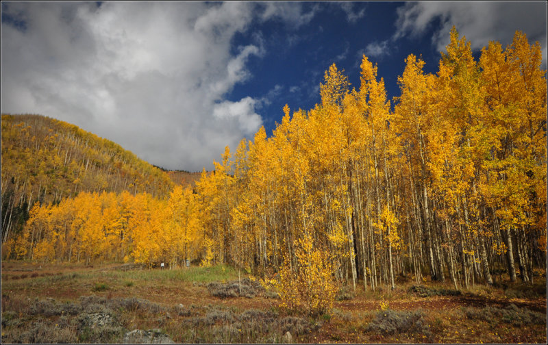 DSC_6849_1.jpg