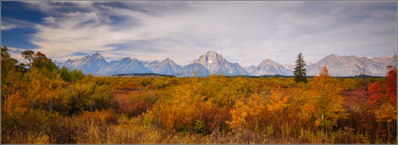 DSC_6084_1.jpg
