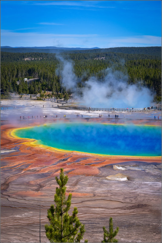 DSC_1661_1.jpg