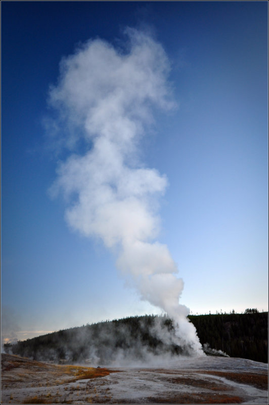 DSC_5463_1.jpg