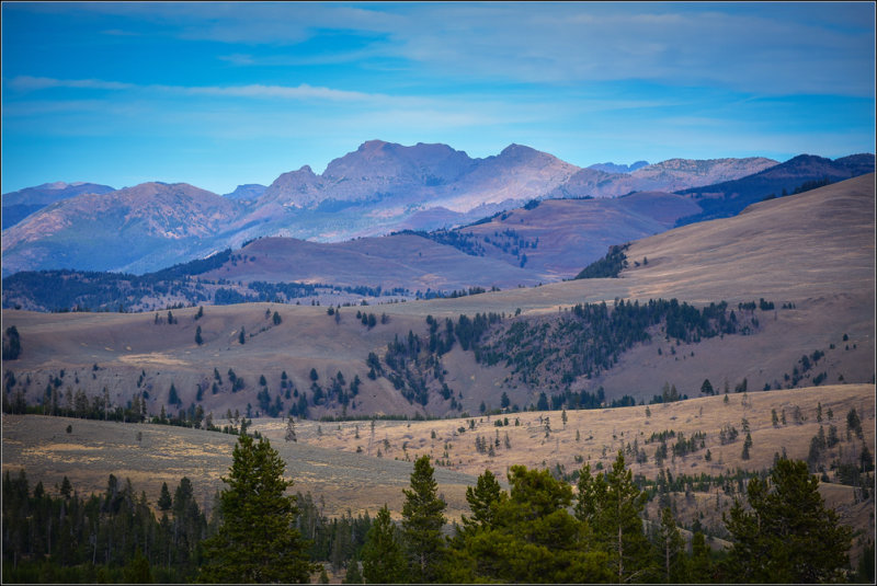 DSC_1767_1.jpg