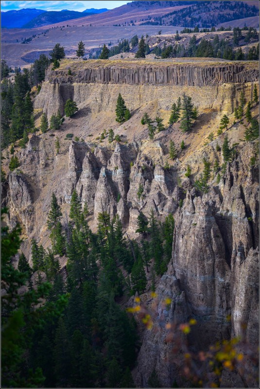 DSC_1774_1.jpg