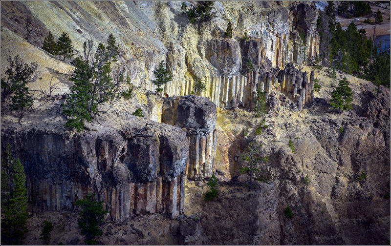 DSC_1776_1.jpg