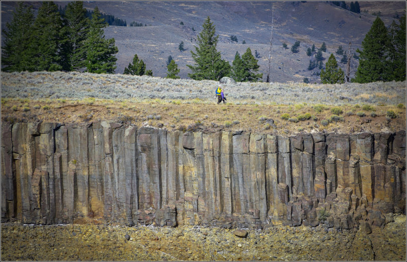 DSC_1781_1.jpg