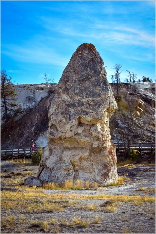 DSC_1831_1.jpg