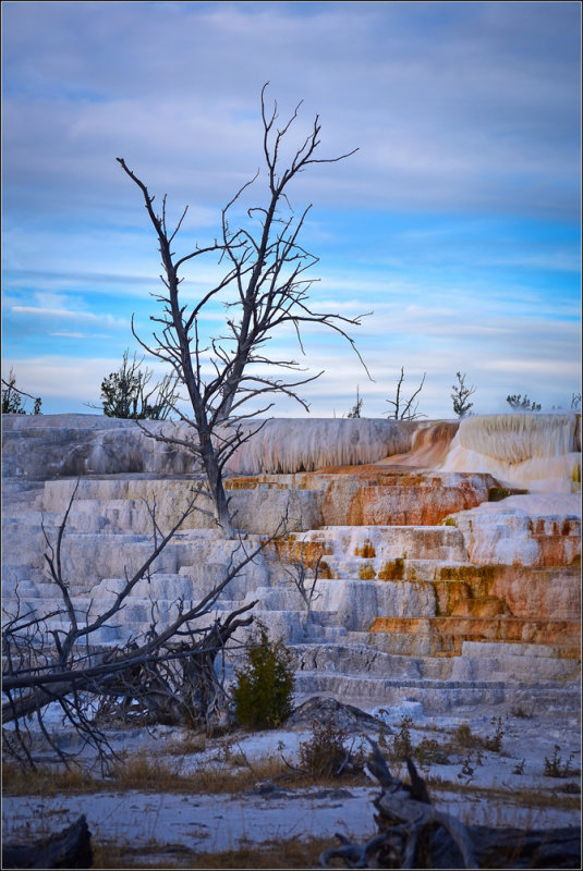 DSC_1849_1.jpg