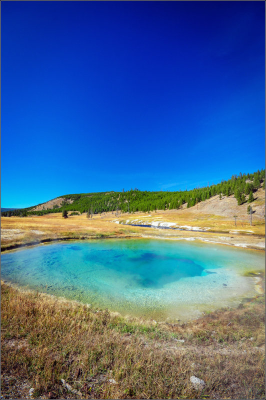 DSC_5659_1.jpg
