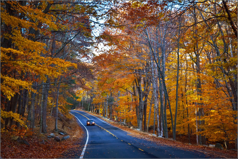DSC_2952_1.jpg