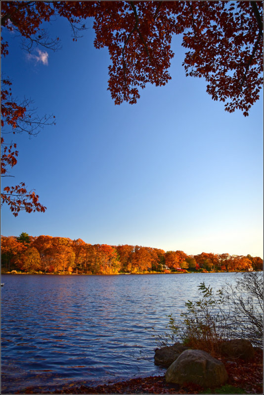DSC_2965_1.jpg