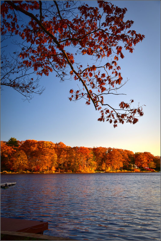 DSC_2969_1.jpg