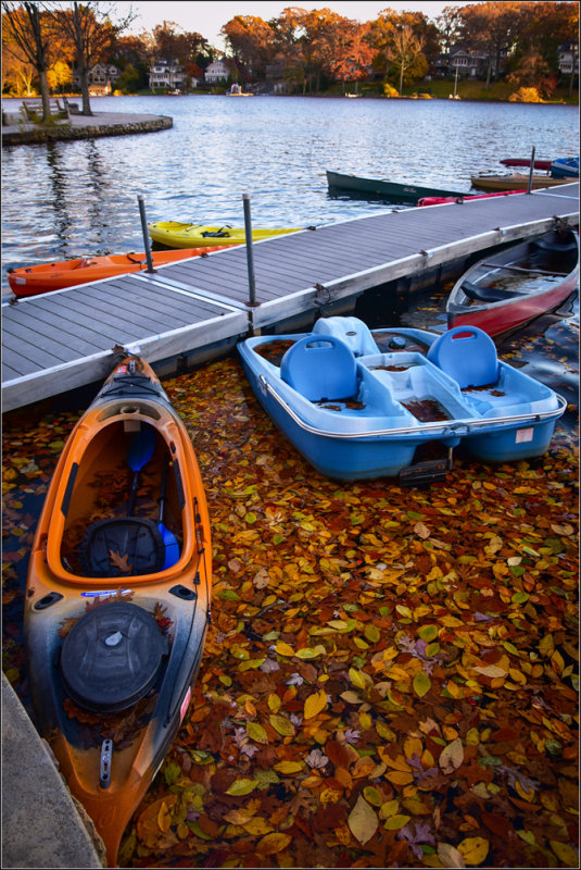 DSC_2976_1.jpg